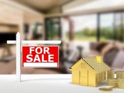 Portfolio Management