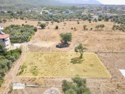 Для Продажи Земля в Zeytinalanı Köyceğiz - Под Поле застройку - 12.000 m²