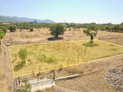 Для Продажи Земля в Zeytinalanı Köyceğiz - Под Поле застройку - 12.000 m²