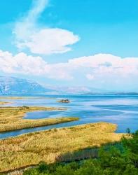 О Кейджегизе