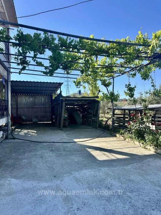Köyceğiz Zeytinalanı Mah. Kiralık 3+1 Daire