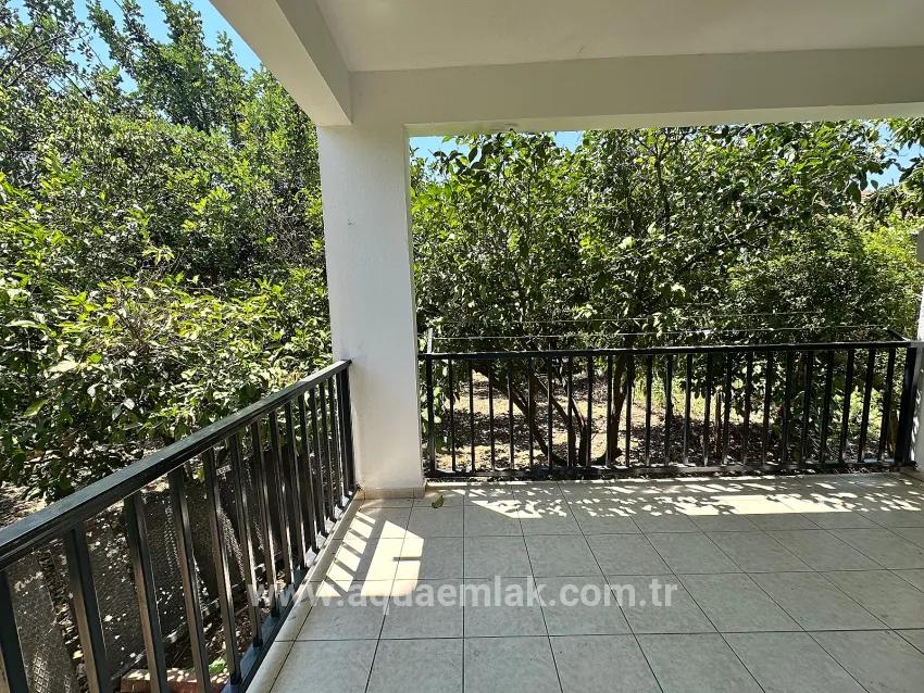 Köyceğiz Zeytinalanı Mah. Kiralık Bahçe Katı Daire