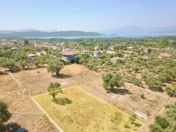Köyceğiz Zeytinalanı Mah. Satılık Arazi - Tarla İmar Durumlu - 12.000 m²