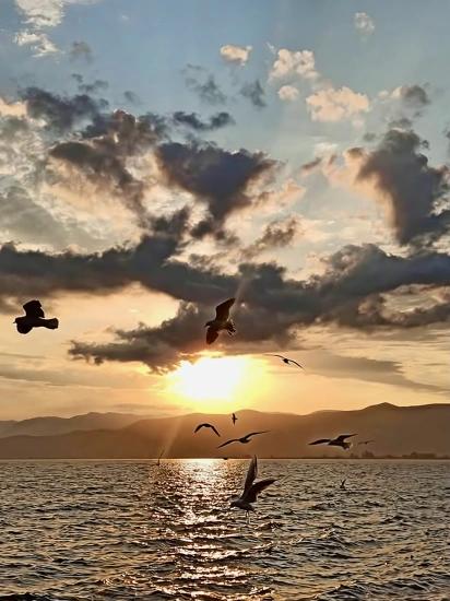 Neden Köyceğiz?