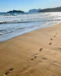 Dalyan Kanalı Ve Kaunos Kaya Mezarları Hakkında